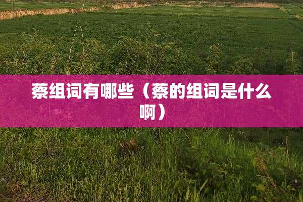 蔡组词有哪些（蔡的组词是什么啊）