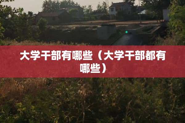大学干部有哪些（大学干部都有哪些）