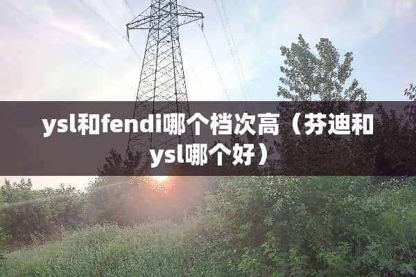 ysl和fendi哪个档次高（芬迪和ysl哪个好）