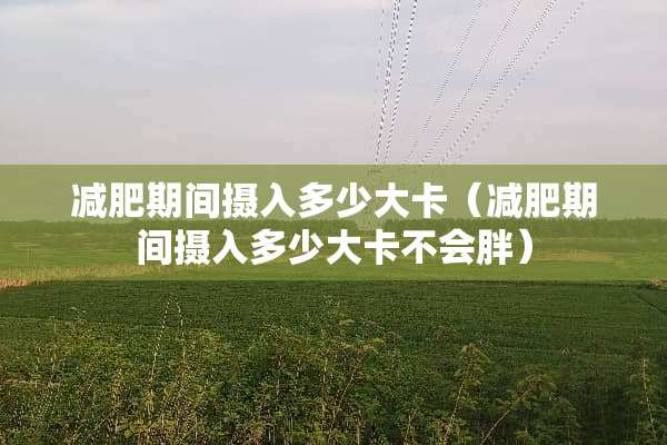 减肥期间摄入多少大卡（减肥期间摄入多少大卡不会胖）