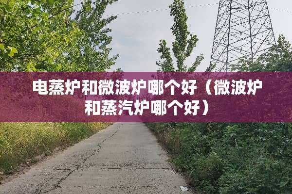 电蒸炉和微波炉哪个好（微波炉和蒸汽炉哪个好）