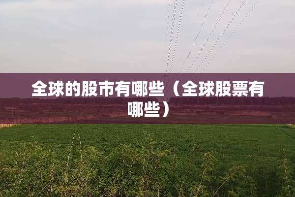 全球的股市有哪些（全球股票有哪些）