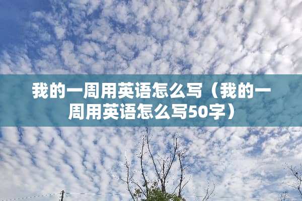 我的一周用英语怎么写（我的一周用英语怎么写50字）