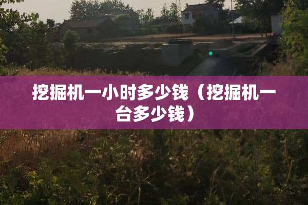 挖掘机一小时多少钱（挖掘机一台多少钱）