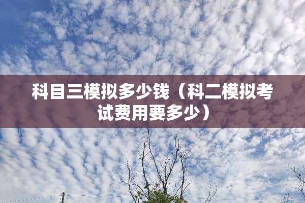 科目三模拟多少钱（科二模拟考试费用要多少）