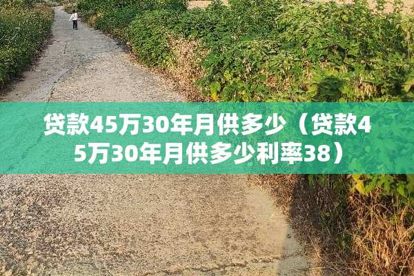 贷款45万30年月供多少（贷款45万30年月供多少利率38）