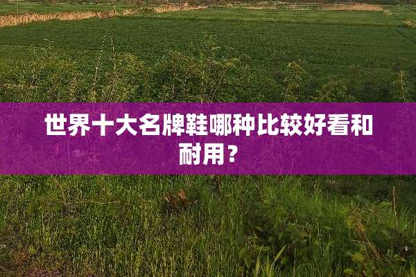 世界十大名牌鞋哪种比较好看和耐用？