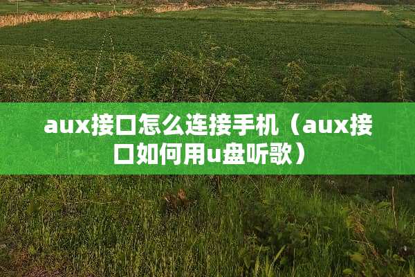 aux接口怎么连接手机（aux接口如何用u盘听歌）