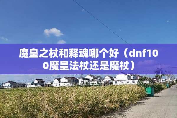 魔皇之杖和释魂哪个好（dnf100魔皇法杖还是魔杖）