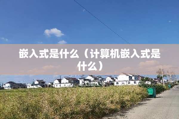 嵌入式是什么（计算机嵌入式是什么）