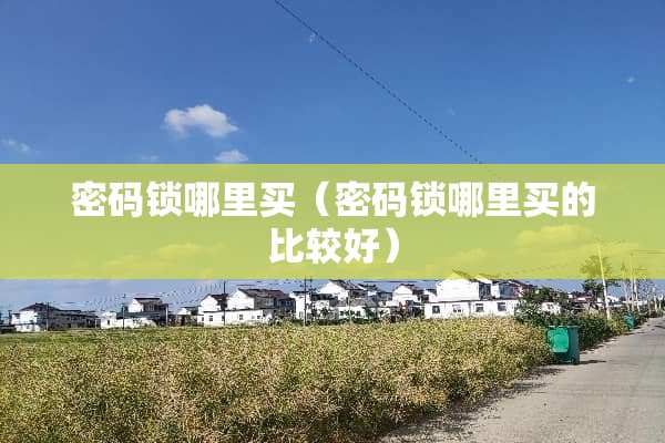 密码锁哪里买（密码锁哪里买的比较好）