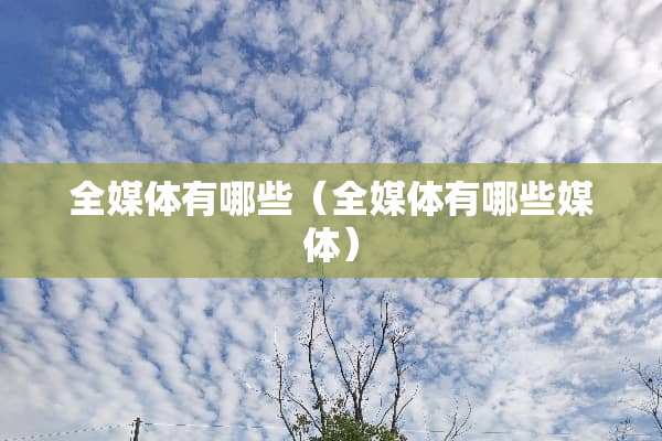 全媒体有哪些（全媒体有哪些媒体）