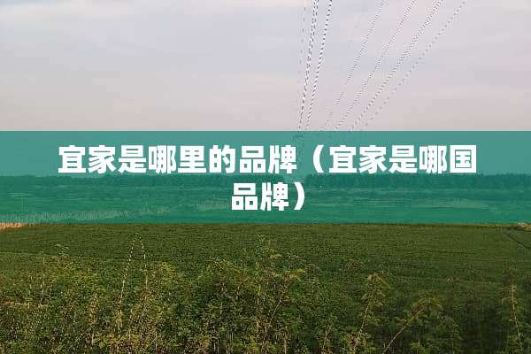 宜家是哪里的品牌（宜家是哪国品牌）