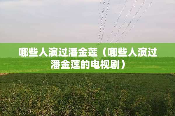 哪些人演过***（哪些人演过***的电视剧）