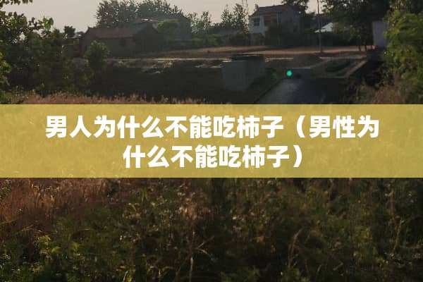 男人为什么不能吃柿子（男性为什么不能吃柿子）