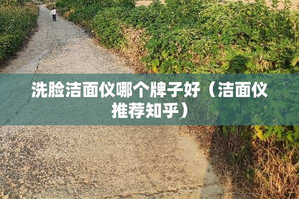 洗脸洁面仪哪个牌子好（洁面仪推荐知乎）