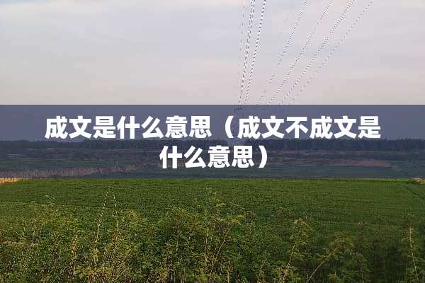成文是什么意思（成文不成文是什么意思）