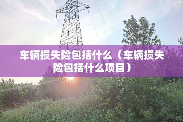 车辆损失险包括什么（车辆损失险包括什么项目）