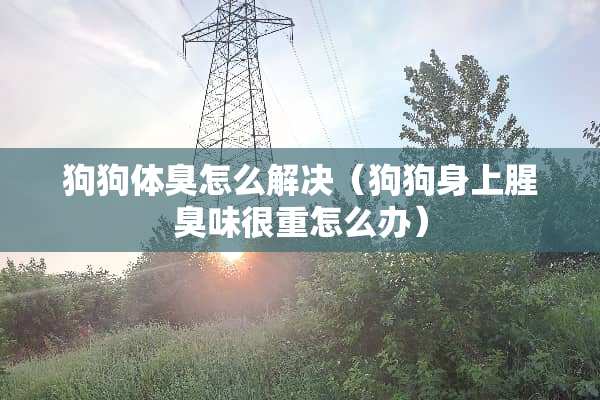 狗狗体臭怎么解决（狗狗身上腥臭味很重怎么办）