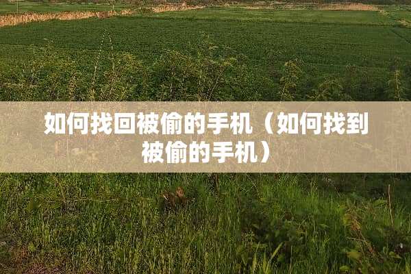 如何找回被偷的手机（如何找到被偷的手机）