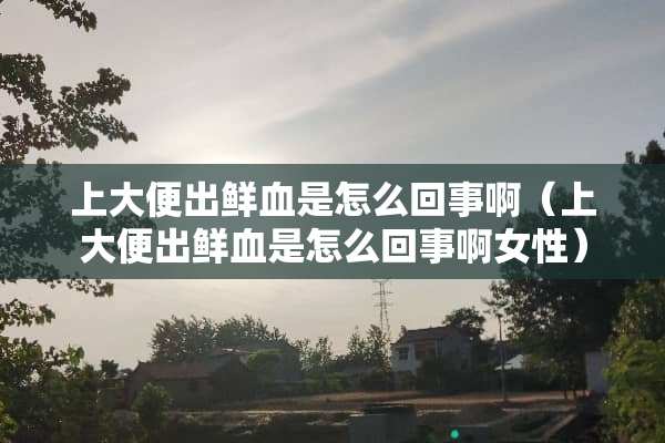 上大便出鲜血是怎么回事啊（上大便出鲜血是怎么回事啊女性）