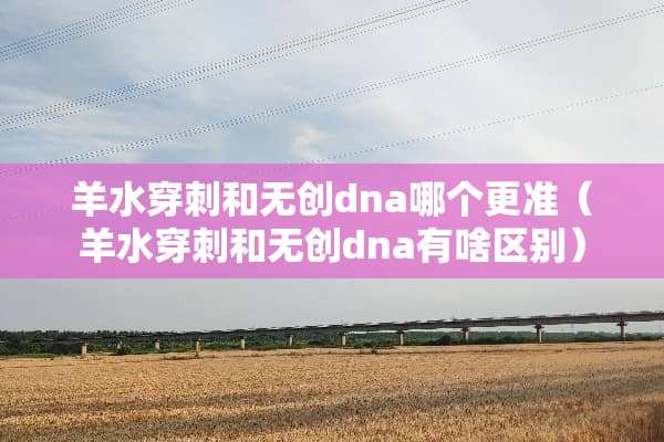 羊水穿刺和无创dna哪个更准（羊水穿刺和无创dna有啥区别）