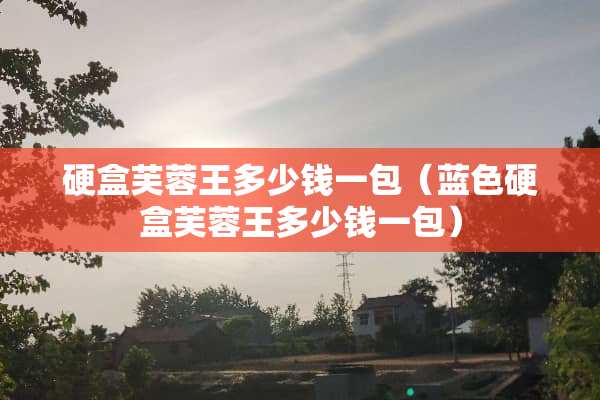 硬盒芙蓉王多少钱一包（蓝色硬盒芙蓉王多少钱一包）