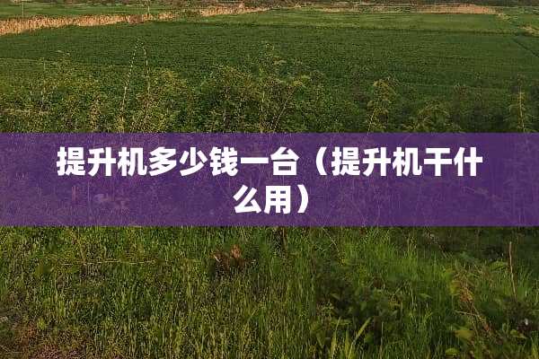 提升机多少钱一台（提升机干什么用）