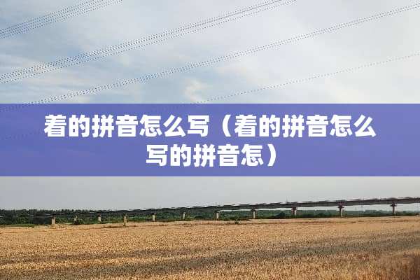 着的拼音怎么写（着的拼音怎么写的拼音怎）