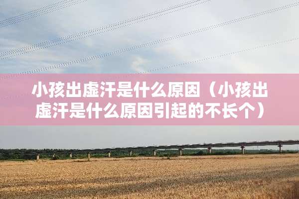 小孩出虚汗是什么原因（小孩出虚汗是什么原因引起的不长个）