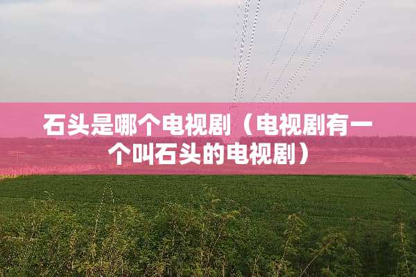 石头是哪个电视剧（电视剧有一个叫石头的电视剧）