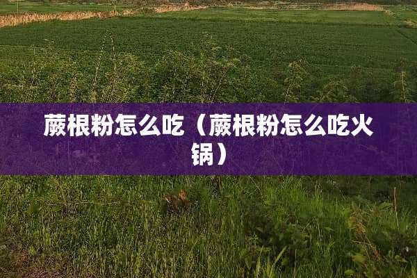 蕨根粉怎么吃（蕨根粉怎么吃火锅）