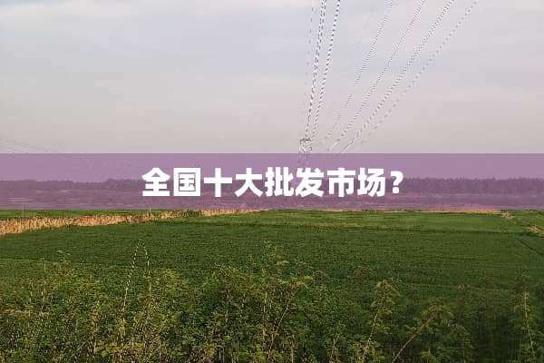全国十大批发市场？