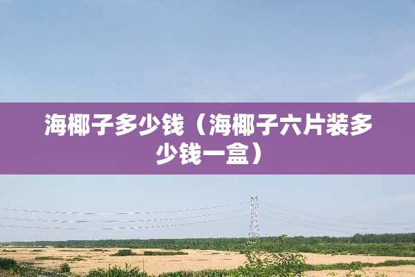 海椰子多少钱（海椰子六片装多少钱一盒）