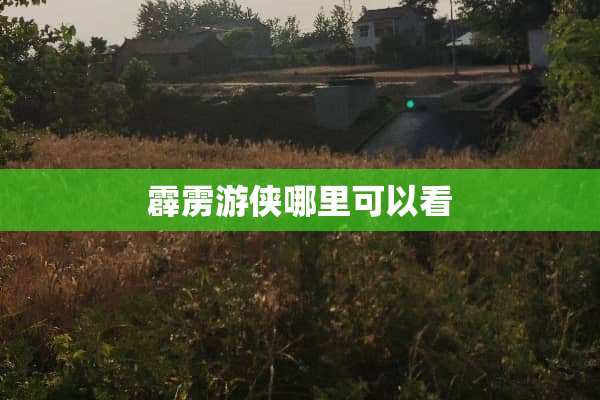 霹雳游侠哪里可以看