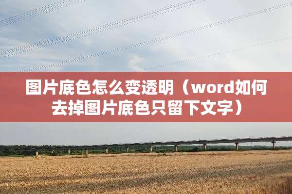 图片底色怎么变透明（word如何去掉图片底色只留下文字）