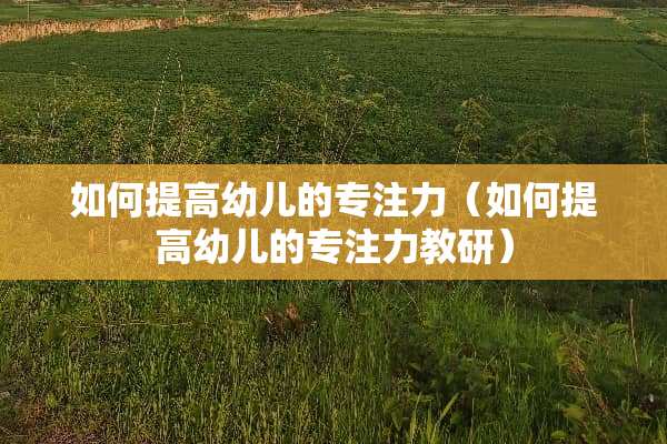如何提高幼儿的专注力（如何提高幼儿的专注力教研）