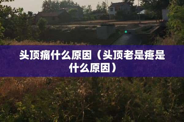 头顶痛什么原因（头顶老是疼是什么原因）