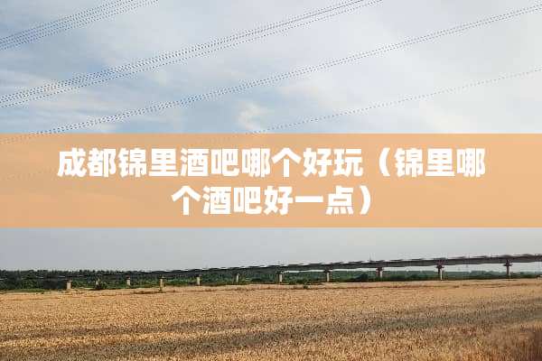 成都锦里酒吧哪个好玩（锦里哪个酒吧好一点）