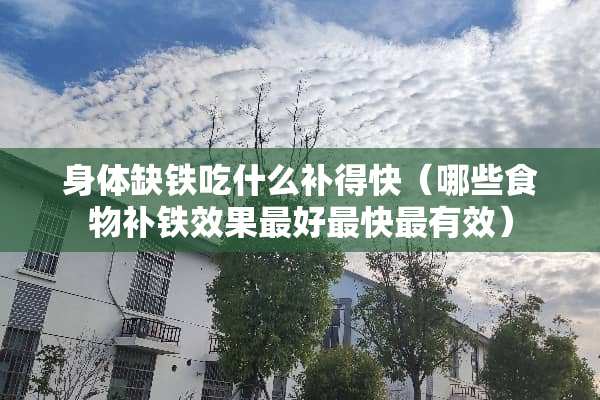 身体缺铁吃什么补得快（哪些食物补铁效果最好最快最有效）