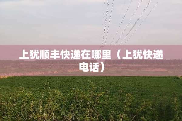 上犹顺丰快递在哪里（上犹快递电话）