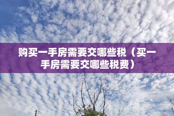 购买一手房需要交哪些税（买一手房需要交哪些税费）