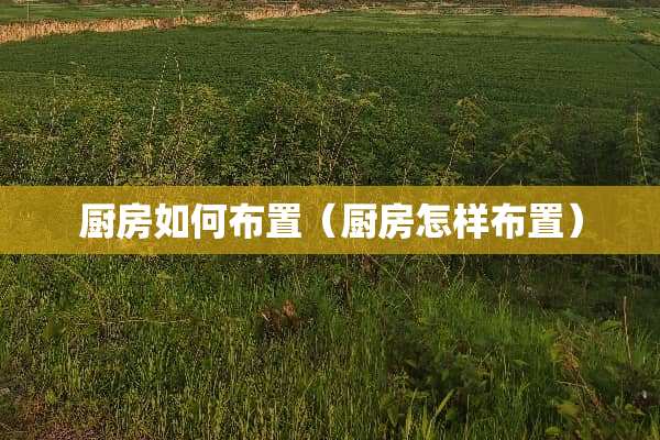 厨房如何布置（厨房怎样布置）
