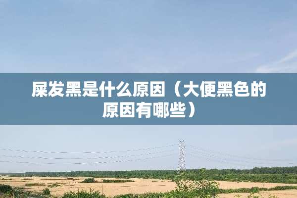 屎发黑是什么原因（大便黑色的原因有哪些）