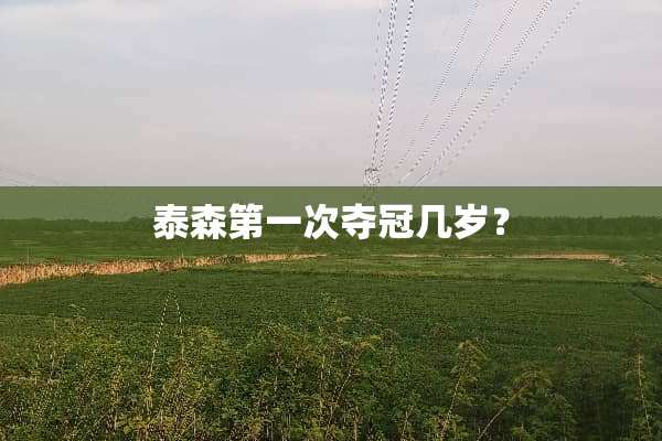 泰森第一次夺冠几岁？