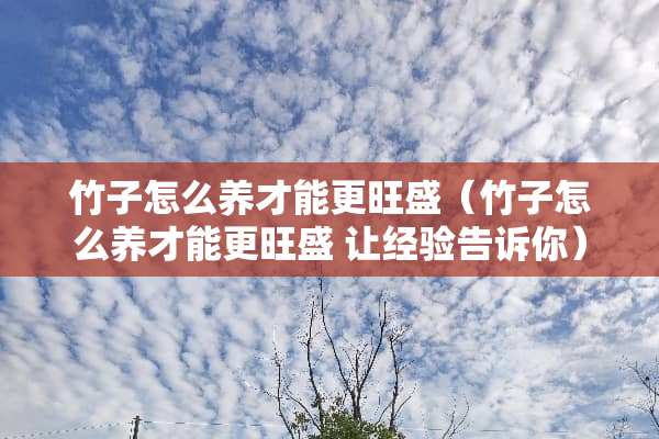 竹子怎么养才能更旺盛（竹子怎么养才能更旺盛 让经验告诉你）