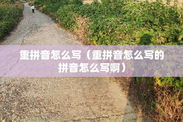 重拼音怎么写（重拼音怎么写的拼音怎么写啊）