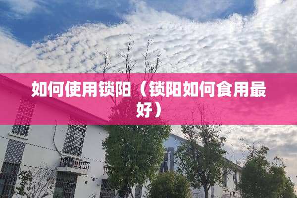 如何使用锁阳（锁阳如何食用最好）