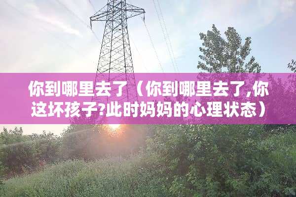 你到哪里去了（你到哪里去了,你这坏孩子?此时妈妈的心理状态）