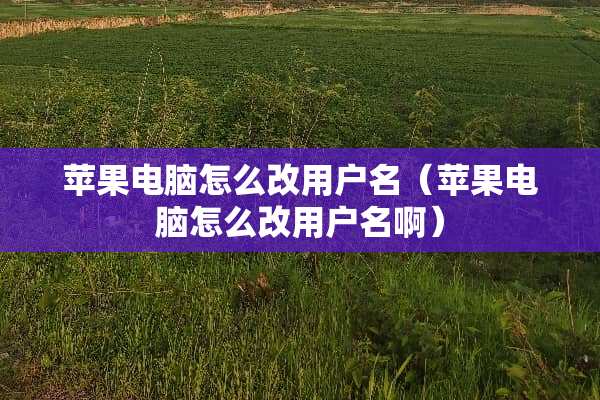 苹果电脑怎么改用户名（苹果电脑怎么改用户名啊）